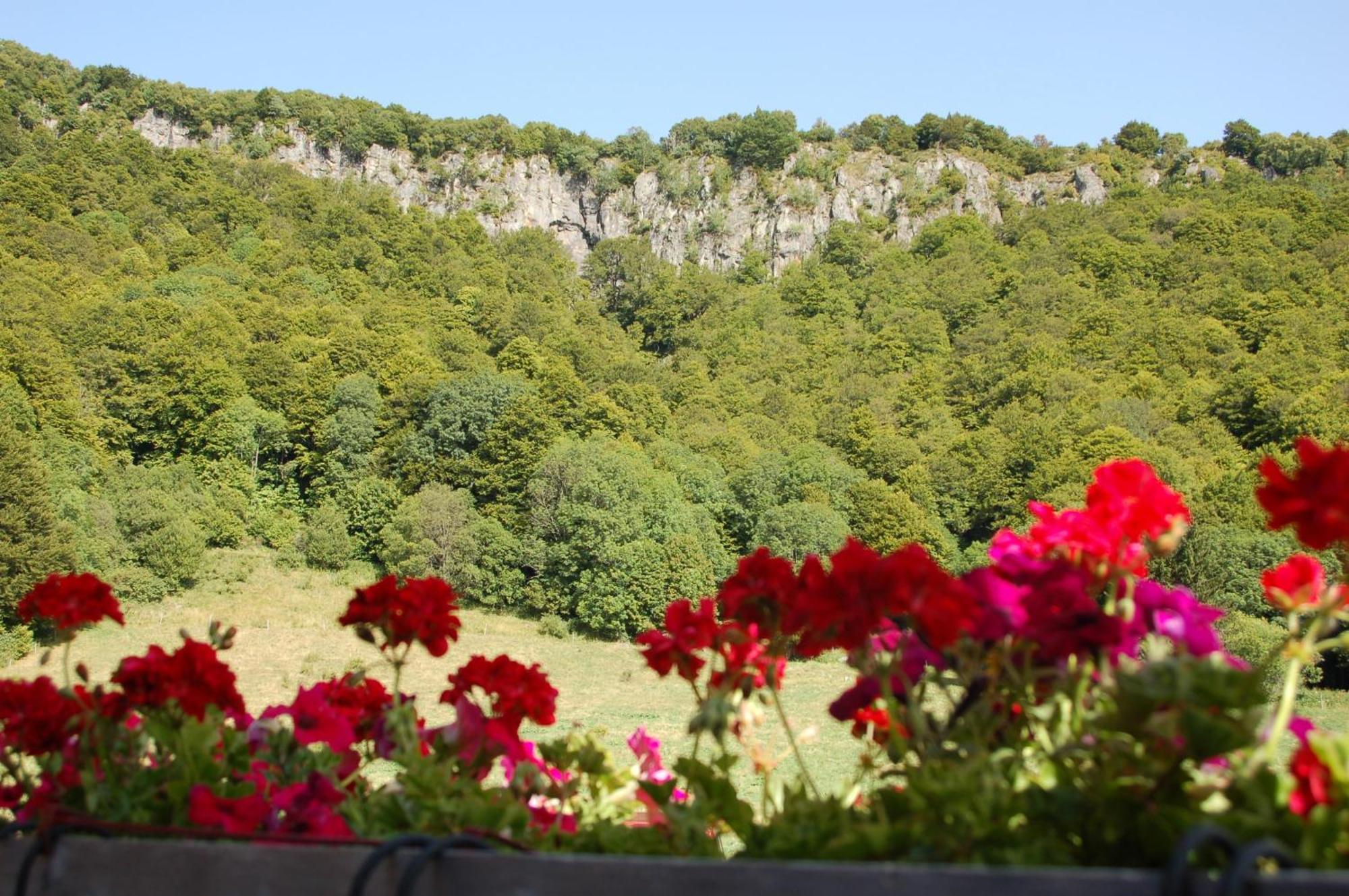 Aux 500 Diables Eco Lodge - Hotel Chambon-sur-Lac Exterior foto